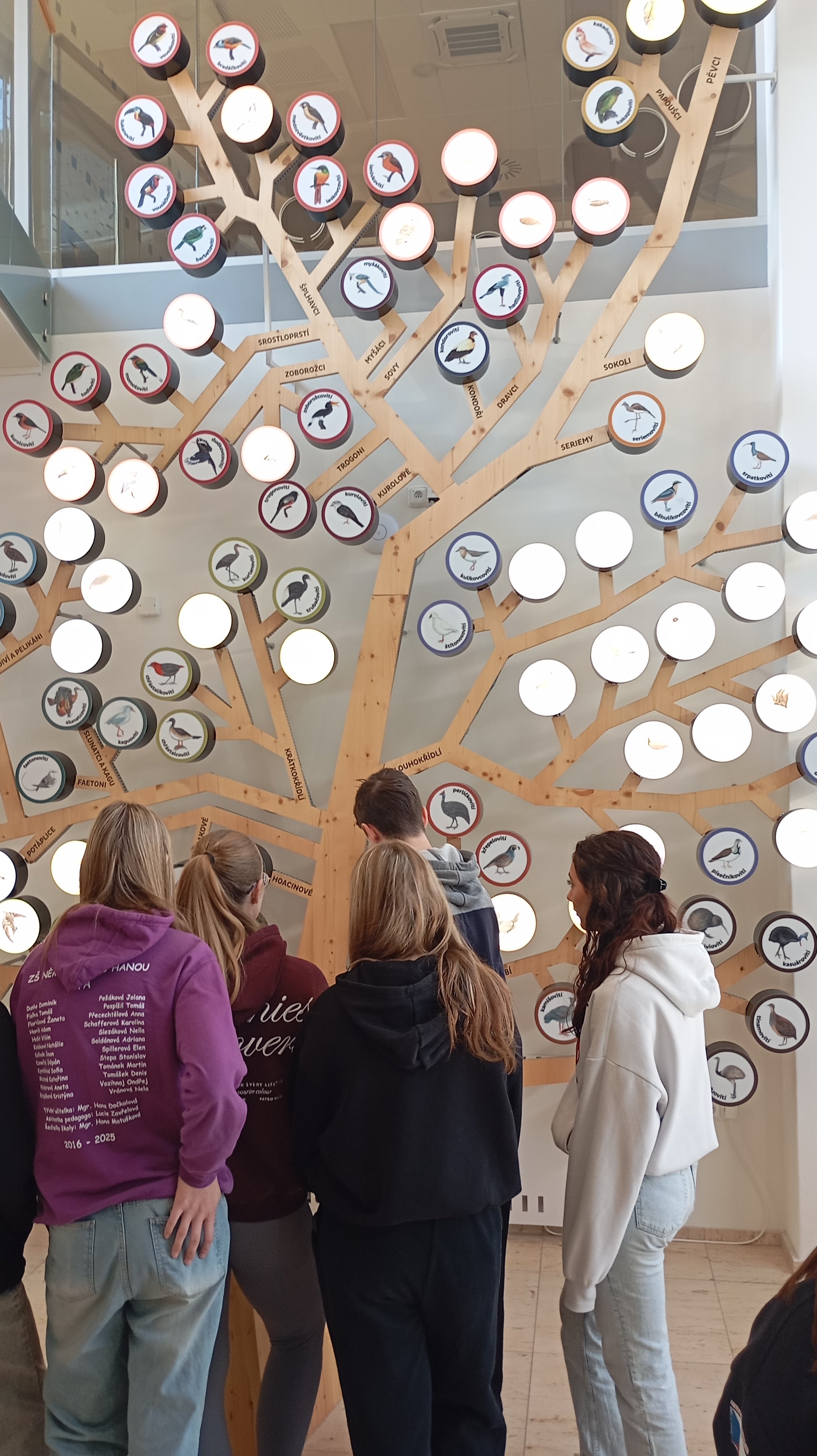 Botanické exkurze v Michalově Botanické exkurze v Michalově