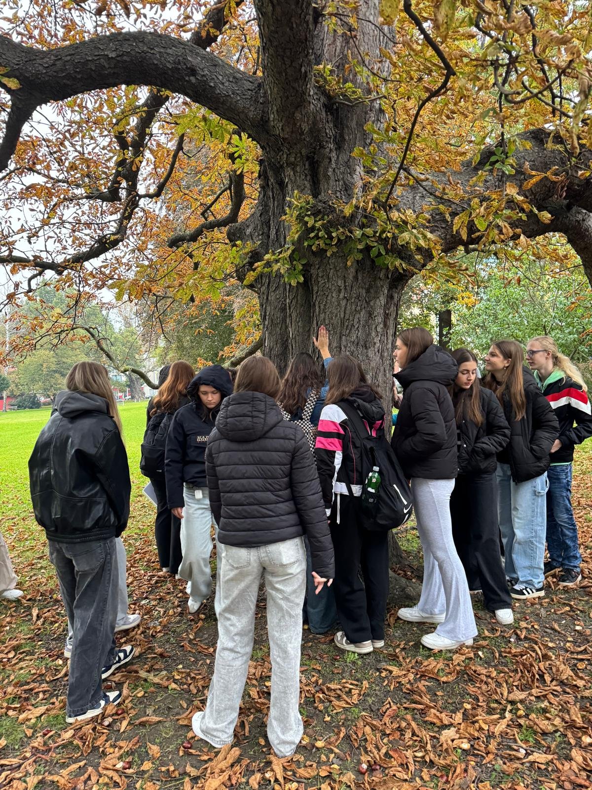 Botanické exkurze v Michalově Botanické exkurze v Michalově