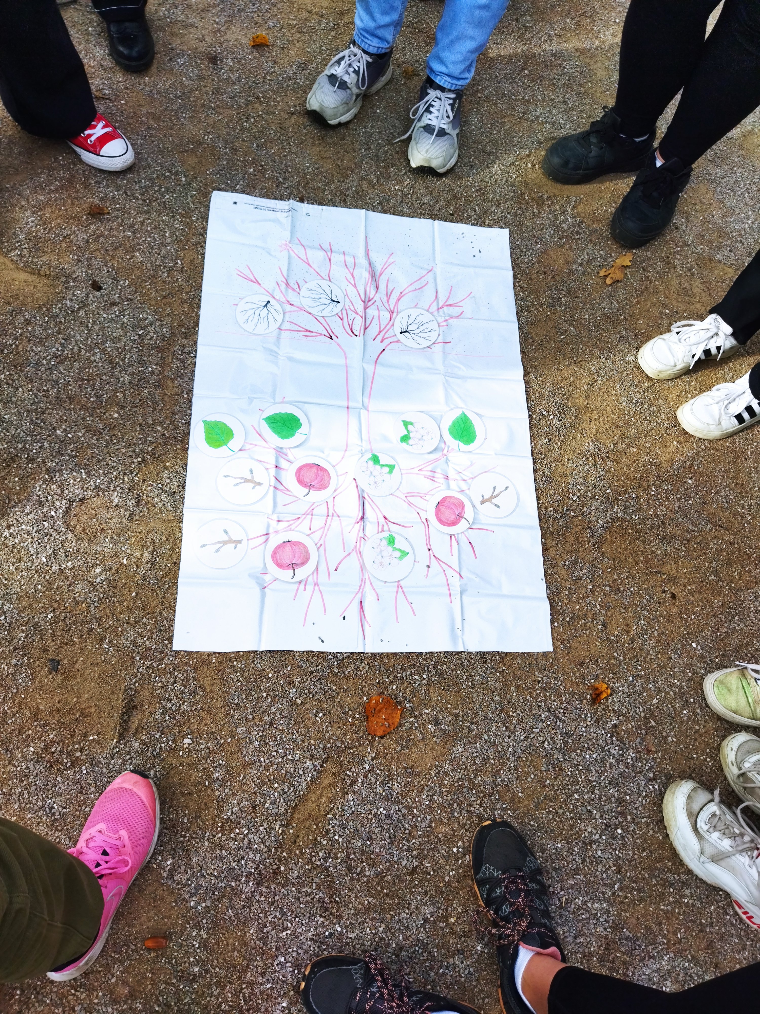 Botanické exkurze v Michalově Botanické exkurze v Michalově