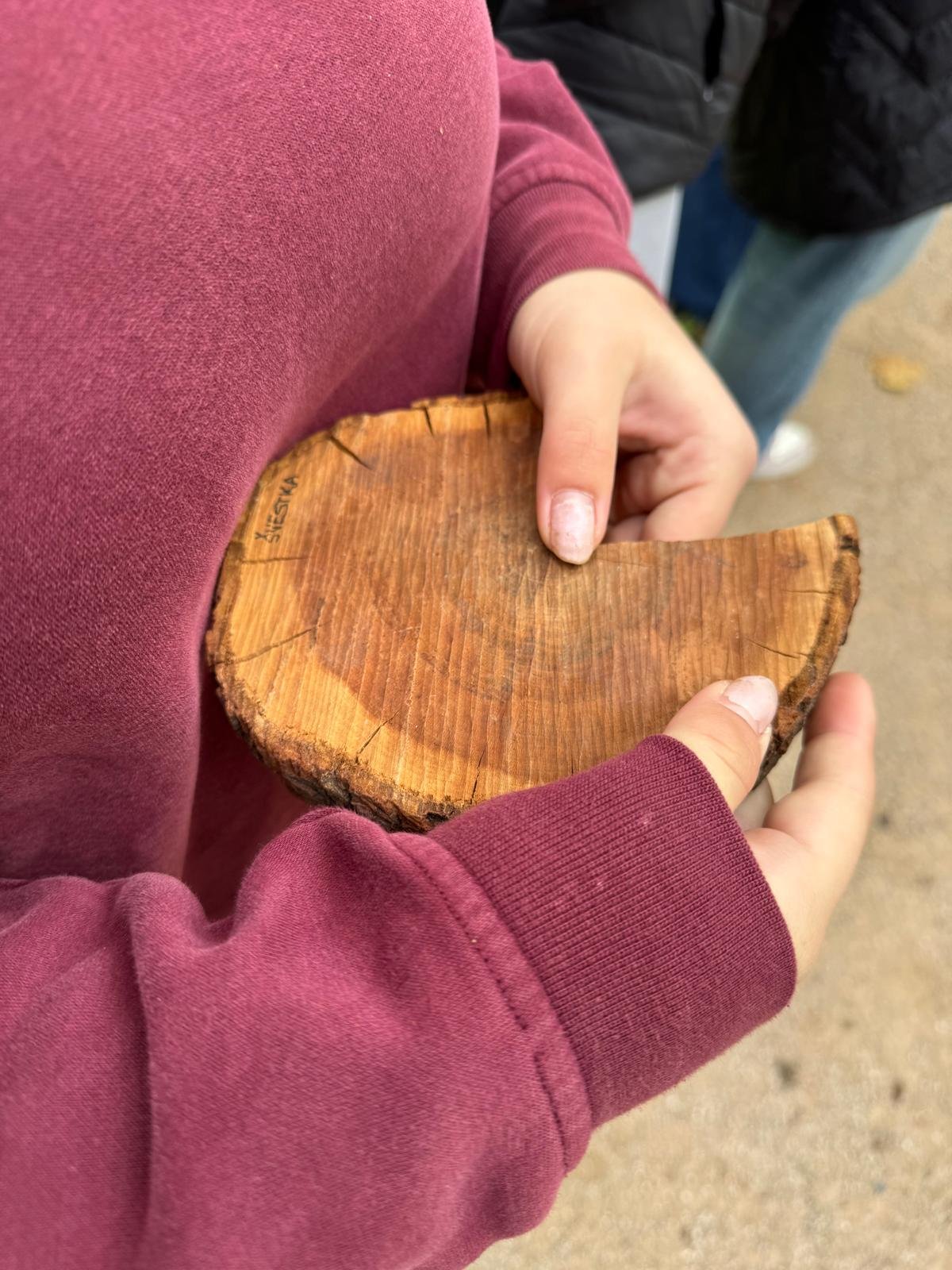 Botanické exkurze v Michalově Botanické exkurze v Michalově