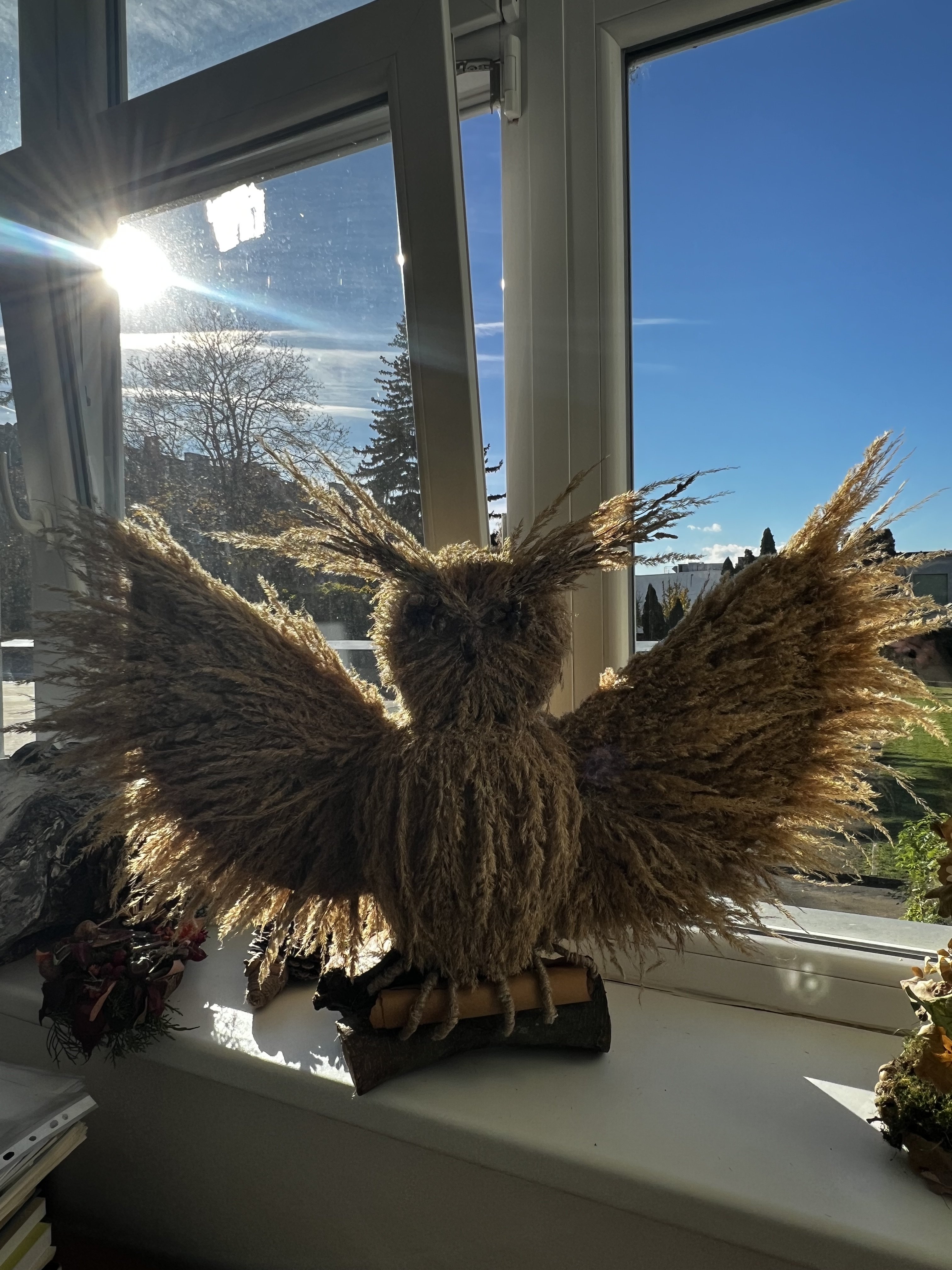 Radostný mumraj za okny Radostný mumraj za okny